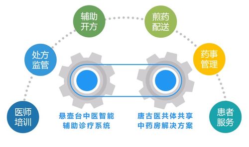 唐古信息携手微医莲芯健康 启动县域医共体中医药服务双引擎网络信息技术推广服务